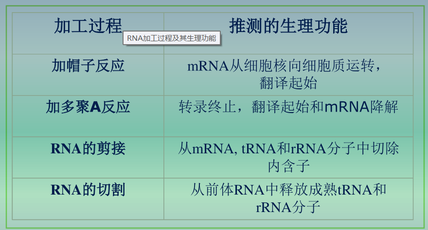 遗传信息的转录与mRNA - 知乎