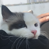 user-profile-image