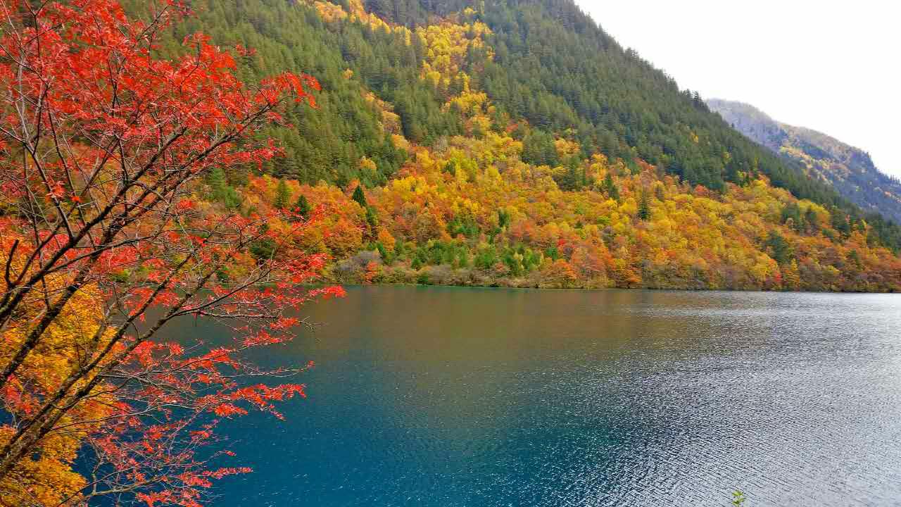 九寨溝幾月份去最好(九寨溝幾月份去最好玩的地方)