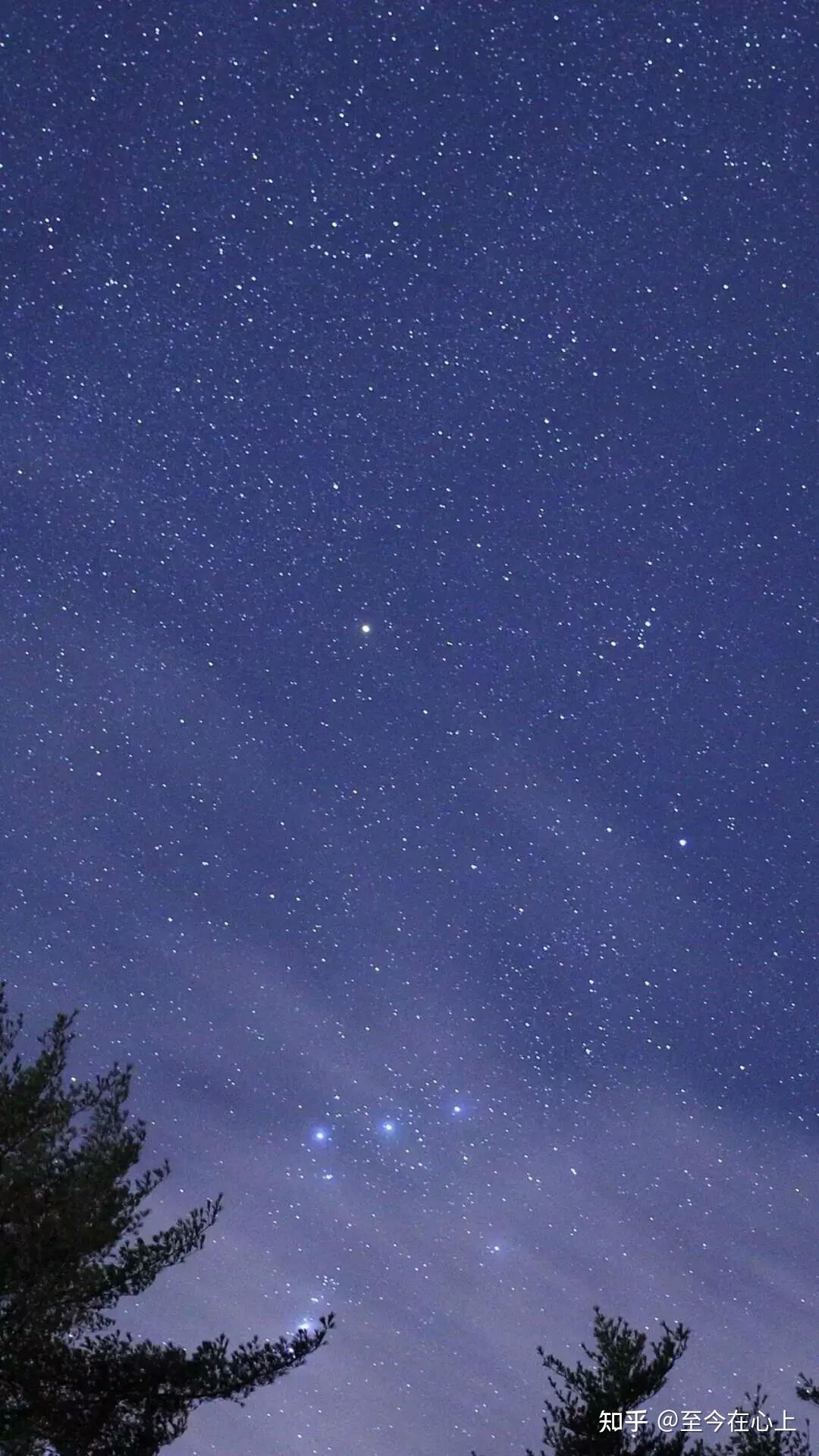 在夏天的夜晚,你会陪孩子观察夏天的星星和星座吗?