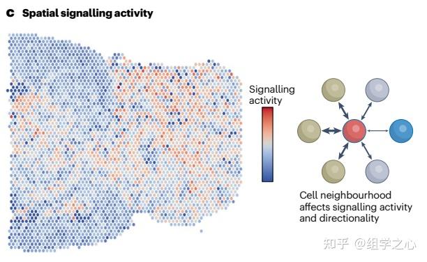 nature reviews genetics | 细胞互作和通讯方法总结 - 知乎