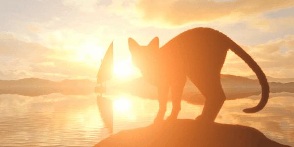 《猫猫的奇幻漂流》100%好评,2024神作,全片无台词的它凭什么?