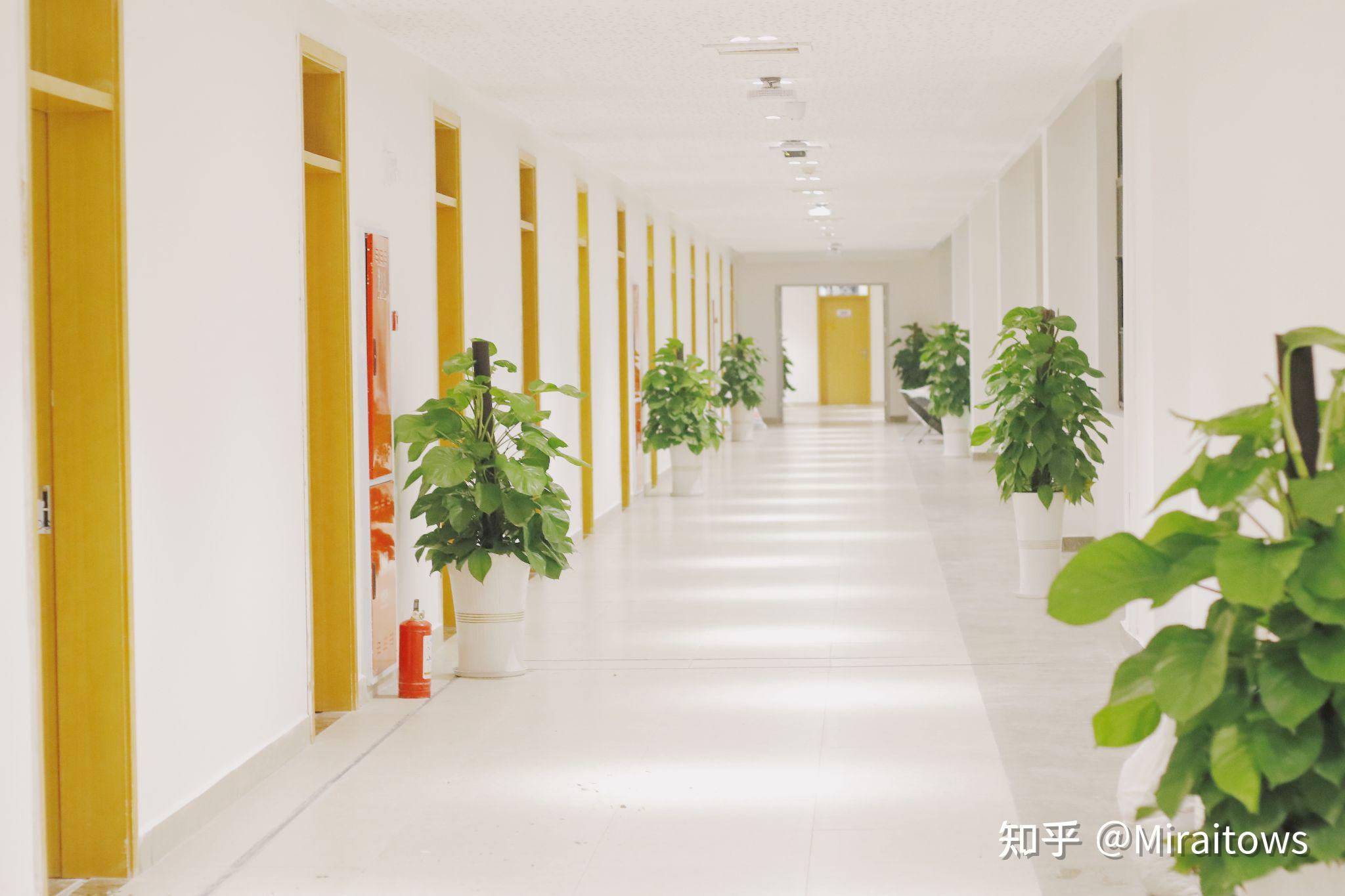 成都理工大学宜宾校区怎么样啊？