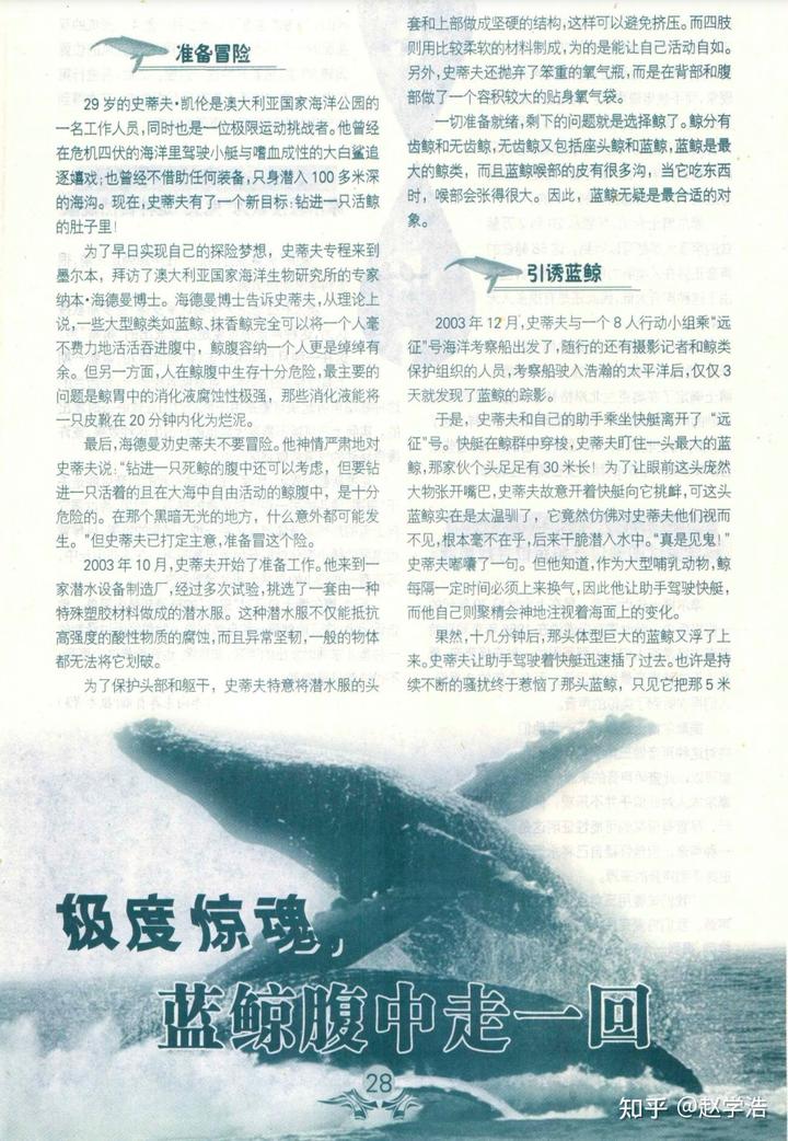 有氧潜水被鲸类吞下后是否还有自救可能?