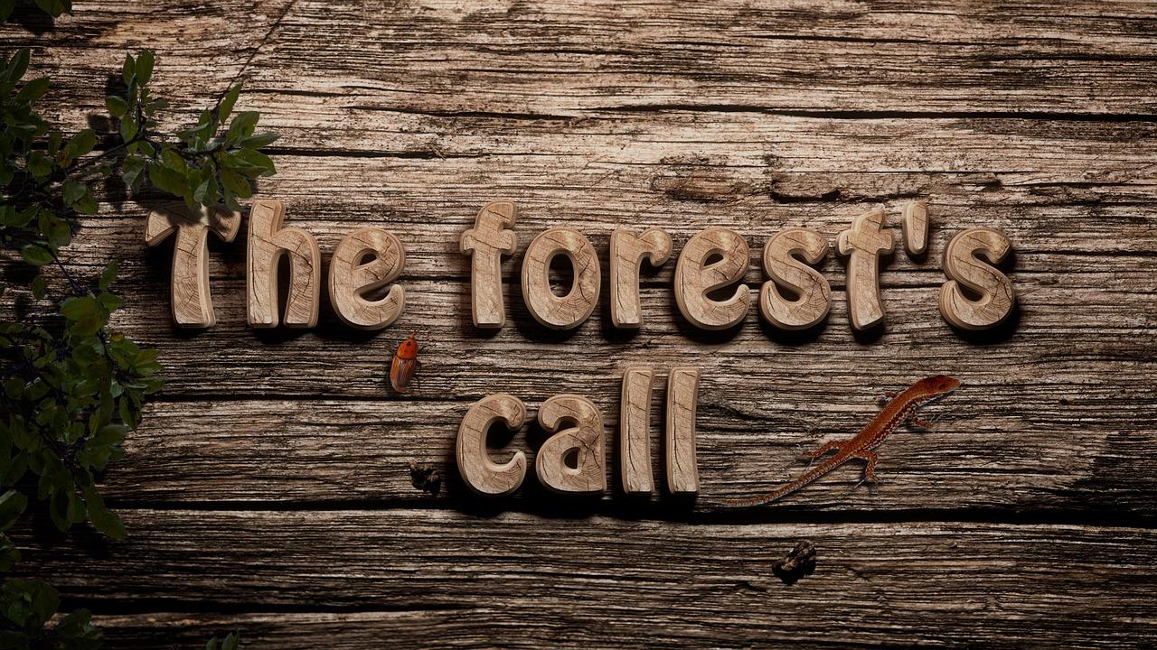 2. 闻气味辨木材