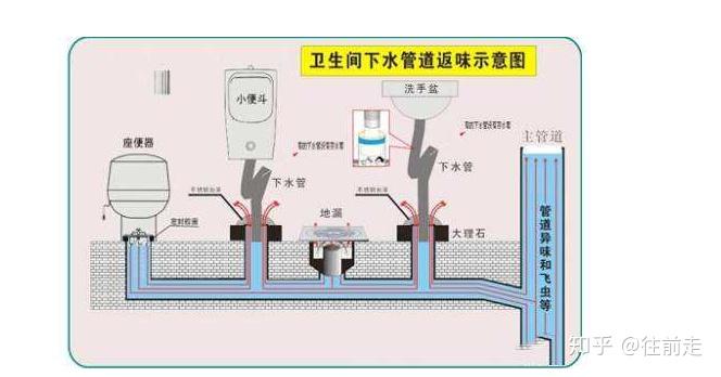 下水道反味对身体有什么危害