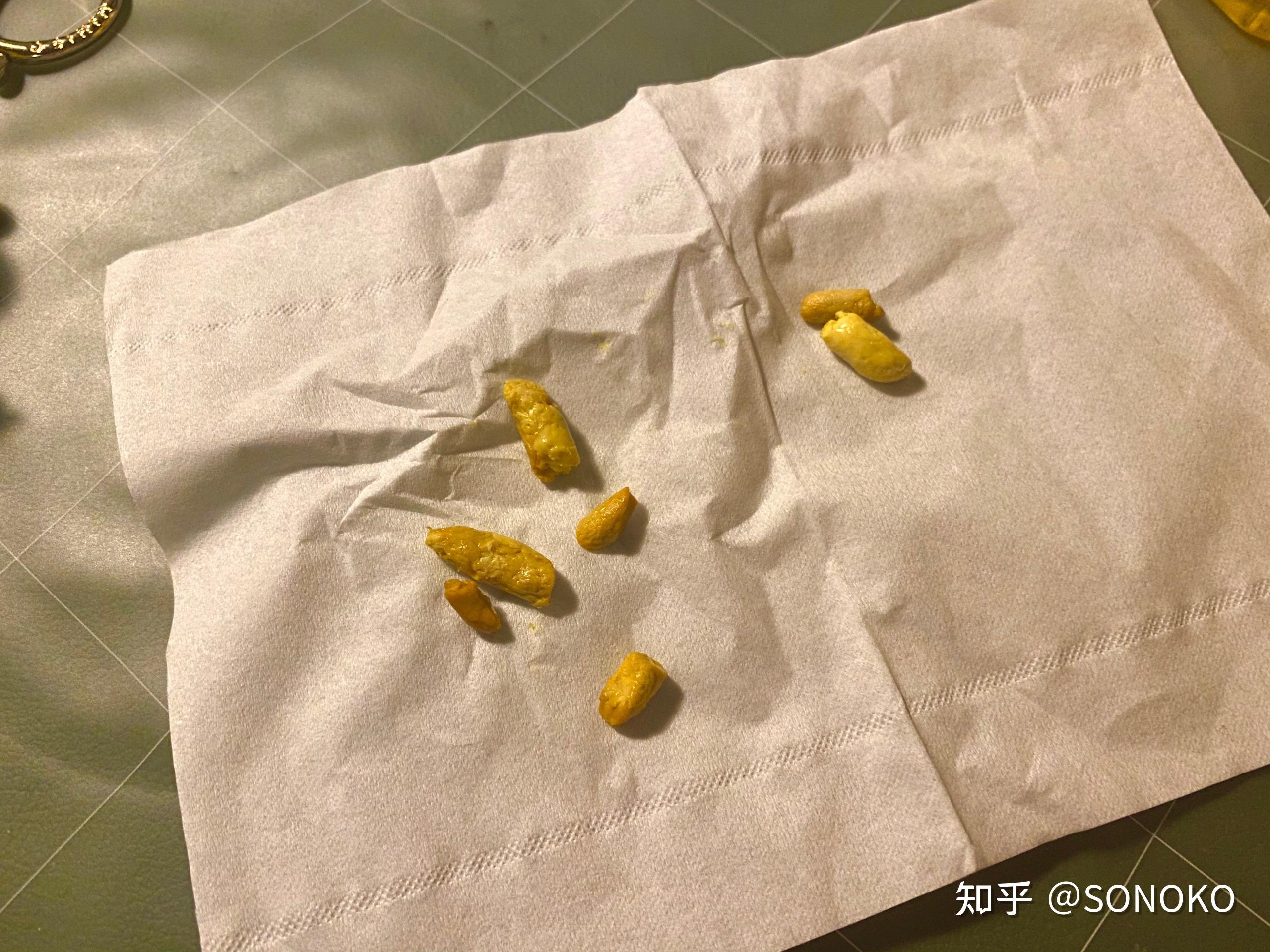 奶猫拉金黄色的屎健康嘛