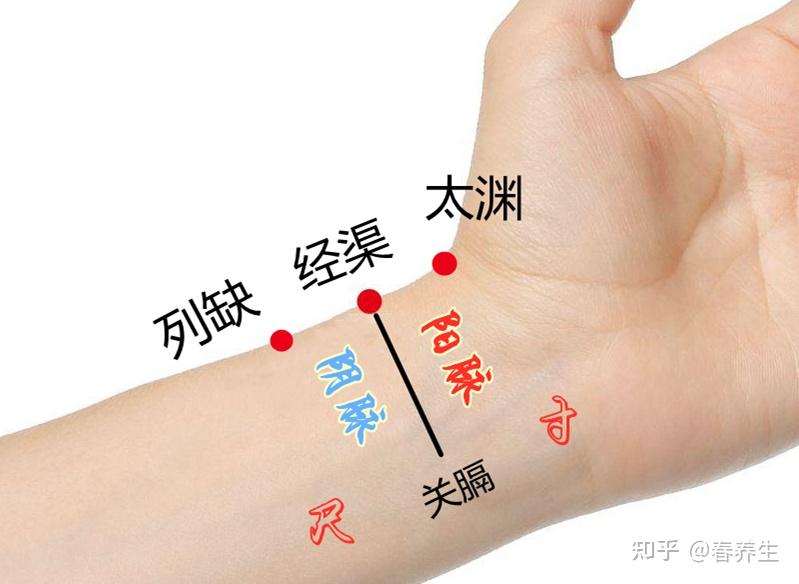 【018】倪海厦-人纪系列黄帝内经篇 - 知乎