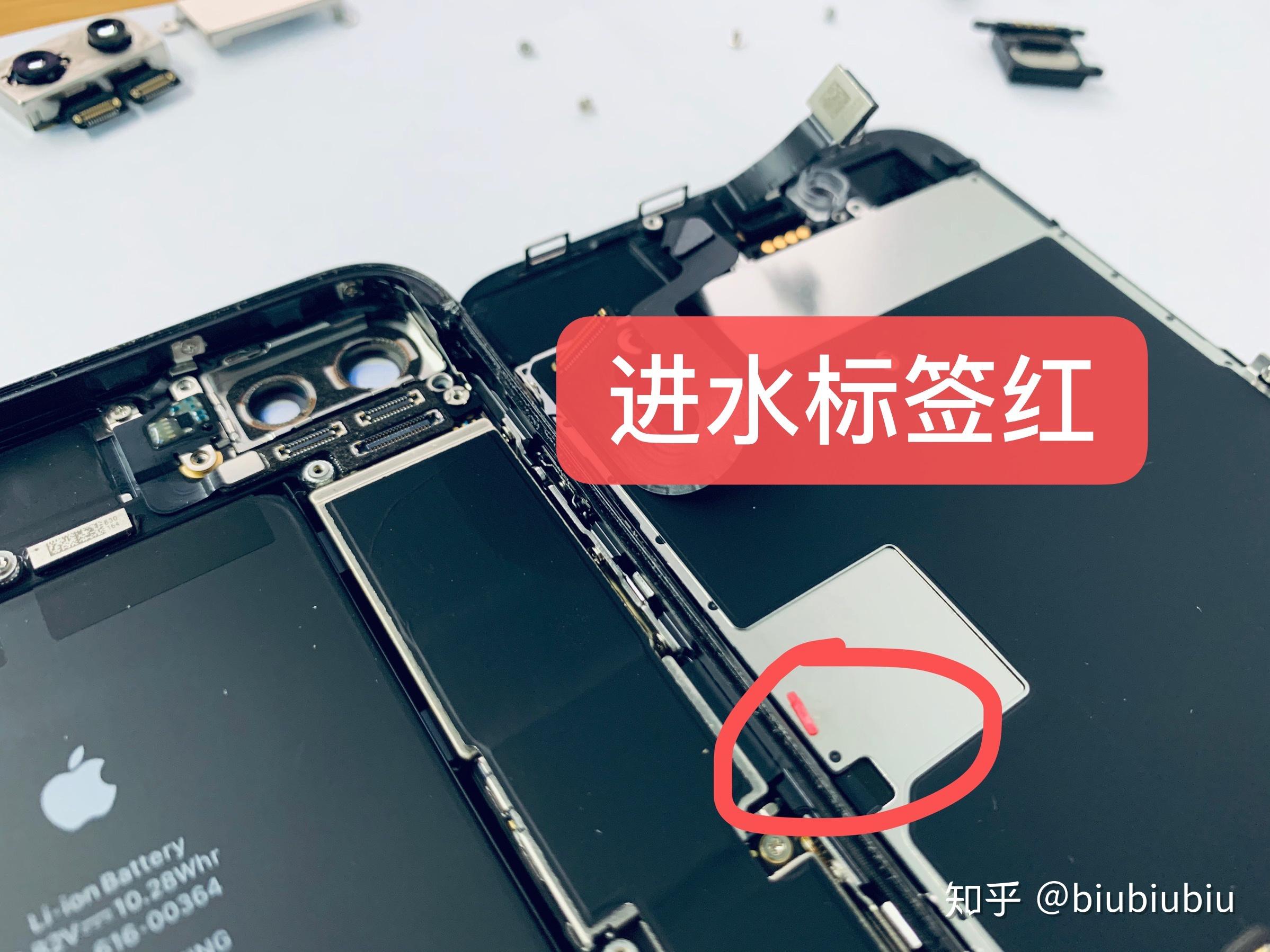 你好苹果x进水了绿屏了该怎么办