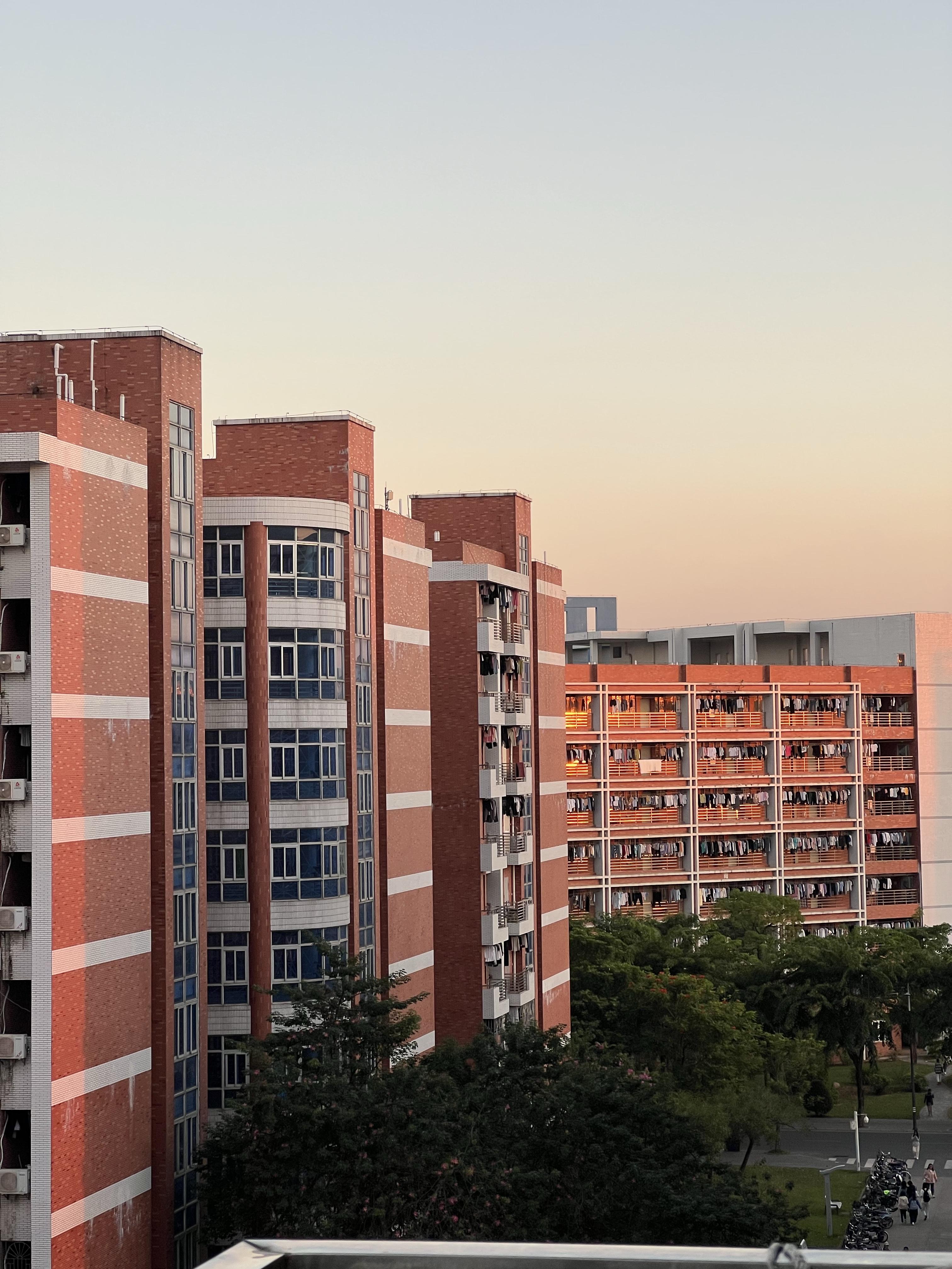 岭南师范学院怎么样?(岭南师范学院可以读研究生吗)