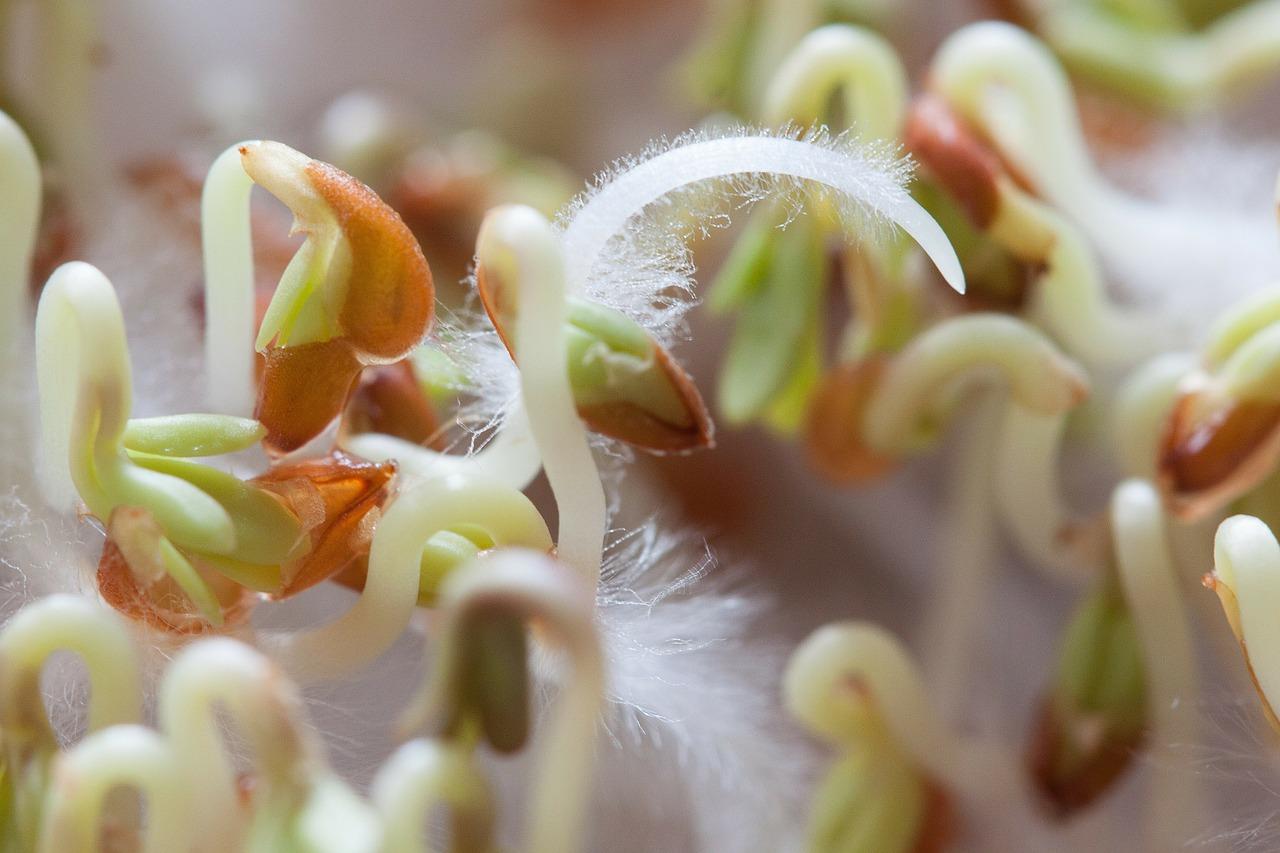 2. 控制适宜湿度