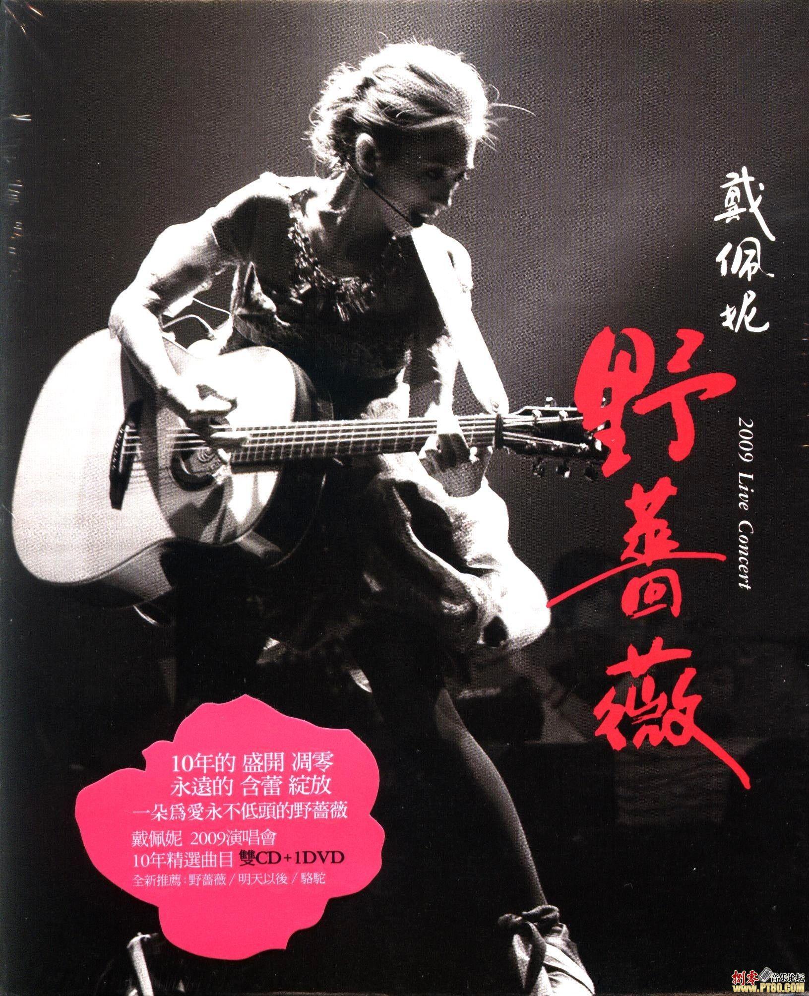 戴佩妮演出时使用的是什么牌子品牌的吉他