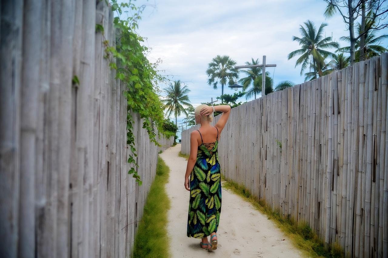 4. 马来灰泥应用