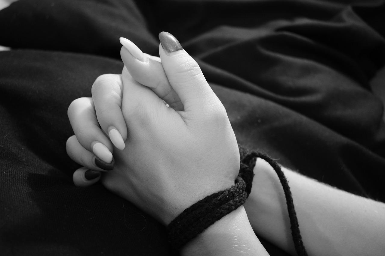 2. 西红柿悬挂方法