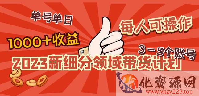 2023新细分领域带货计划：单号单日1000+收益不难，每人可操作3-5个账号