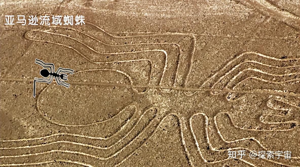 秘鲁的纳斯卡线为什么如此神秘? - 知乎