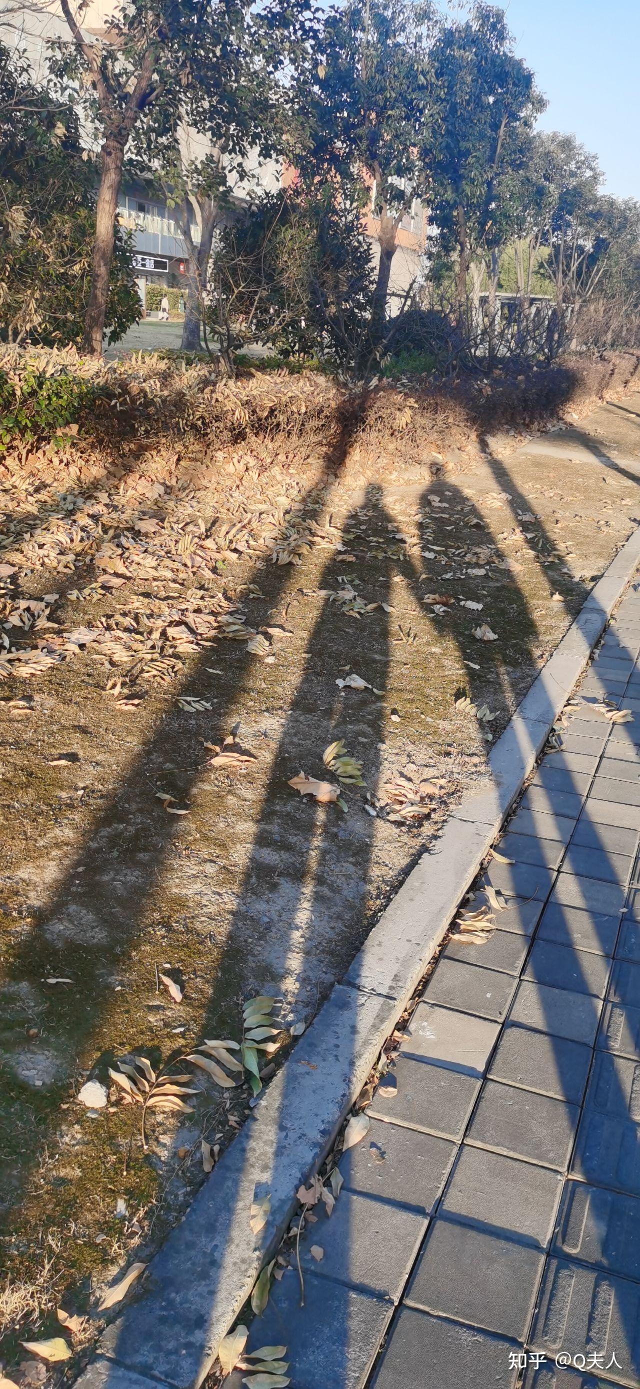 求情侣影子照片,真实点?