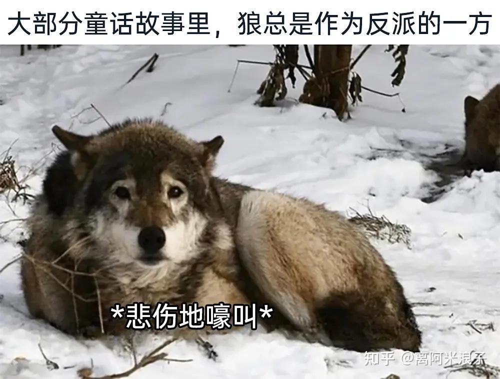 有没有那种一看就笑死的表情包或梗图? - 知乎
