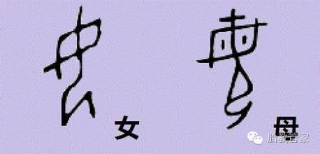 今日胎教: 解字“母和父”,有点意思! - 知乎