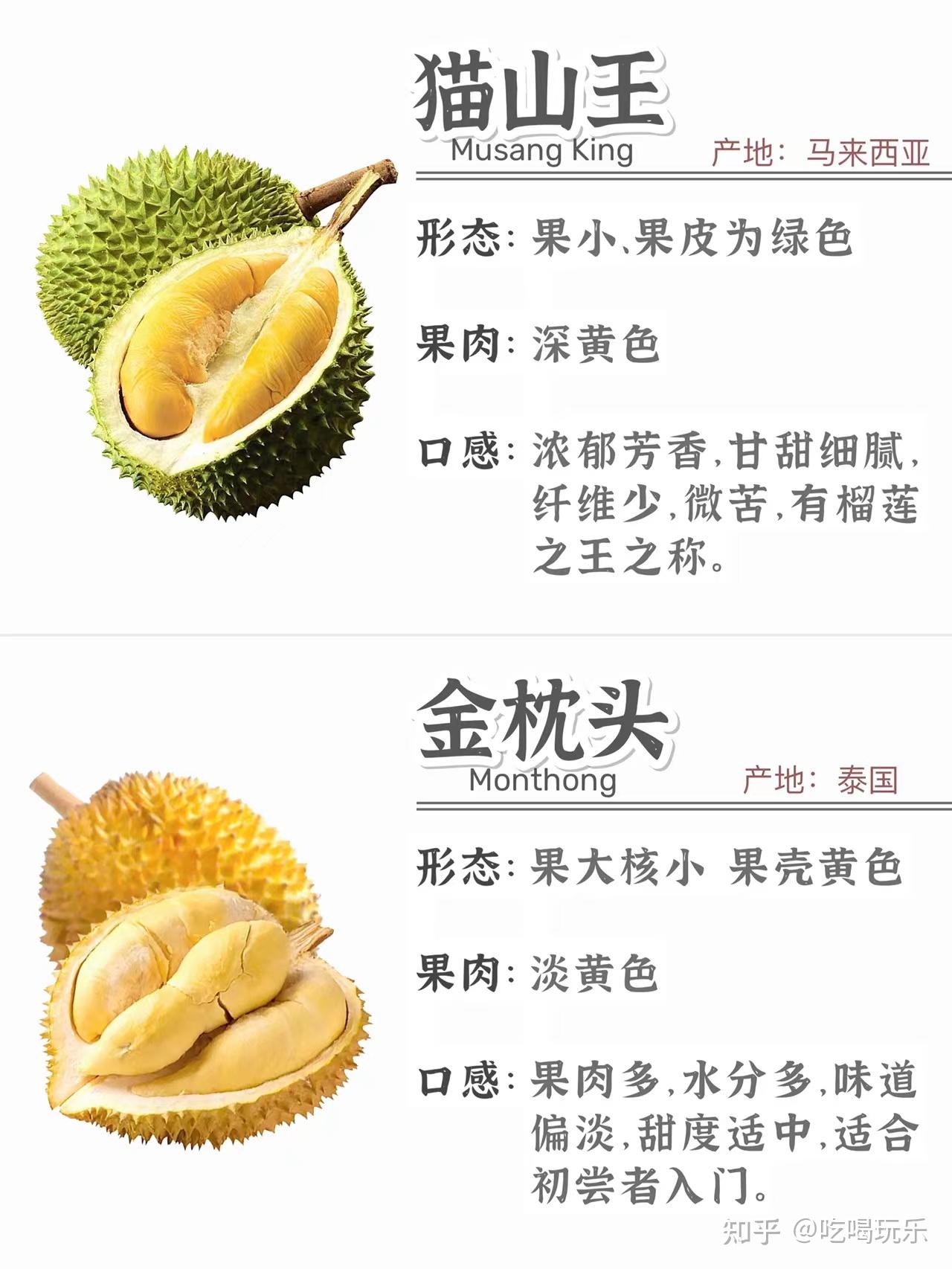 金枕头榴莲和猫山王榴莲的区别