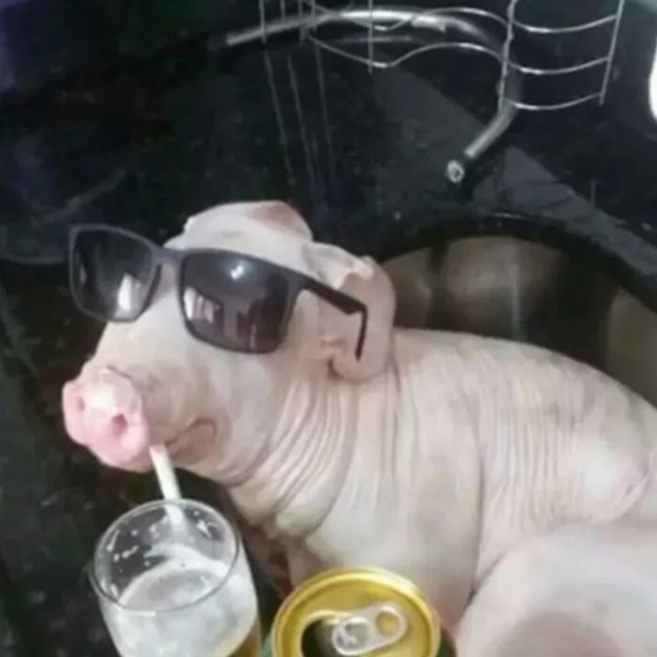 有哪些沙雕搞笑抽象头像?