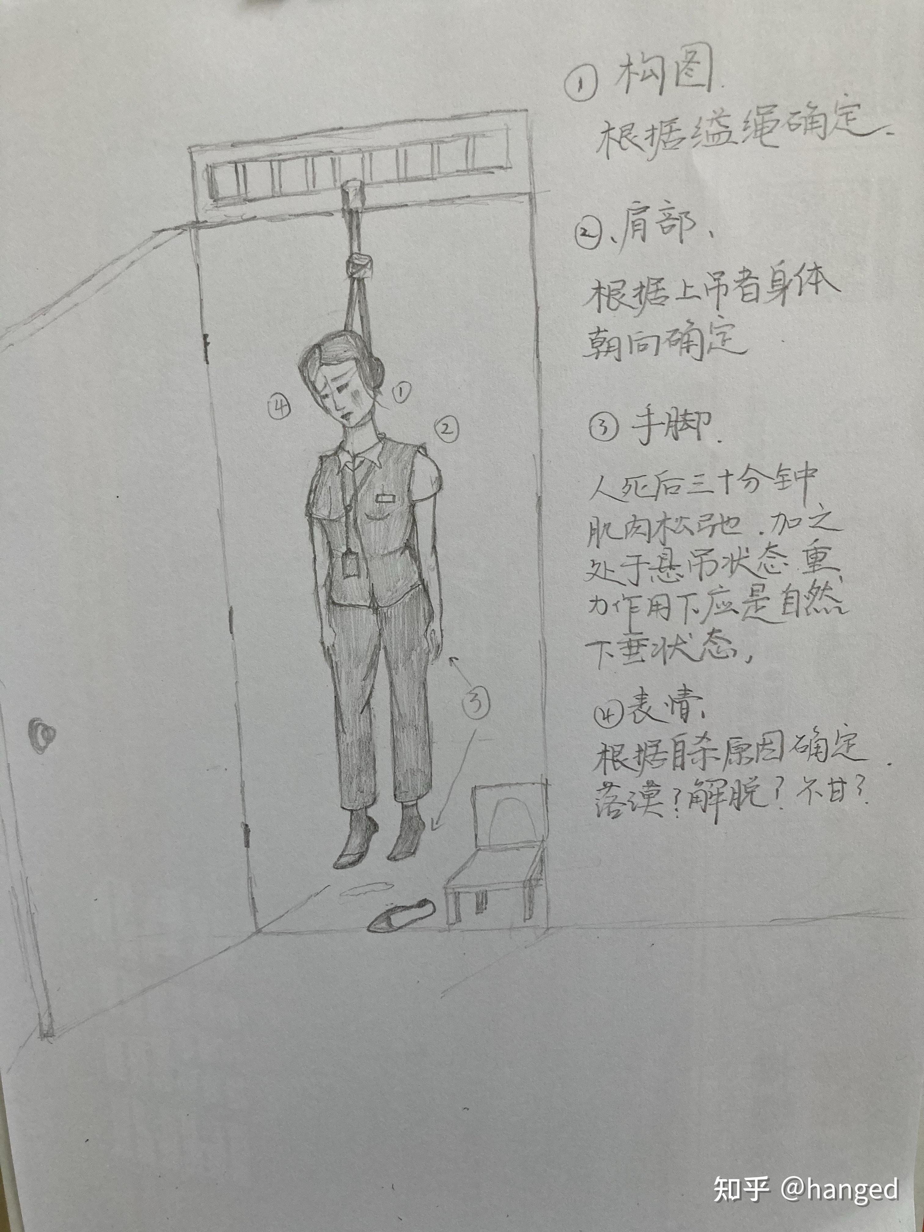 女性 或者 男性上吊结构图应该怎么画? - 知乎