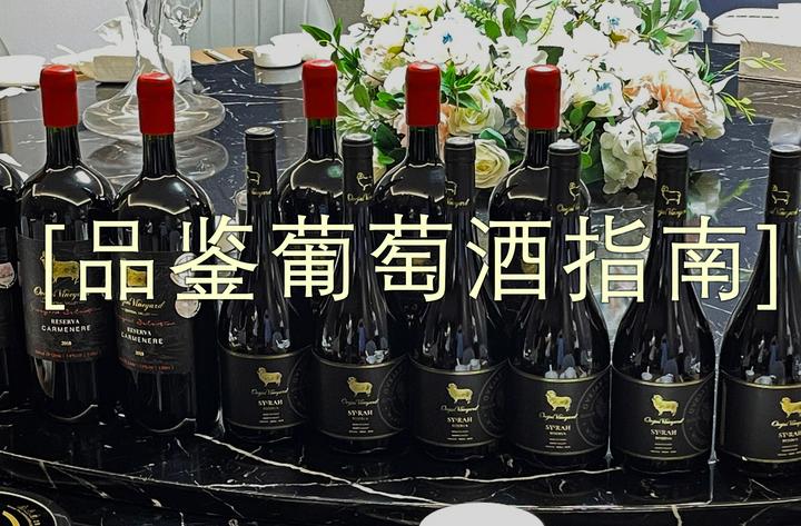 推荐给新手入门【葡萄酒品鉴指南】品酒不难 知乎