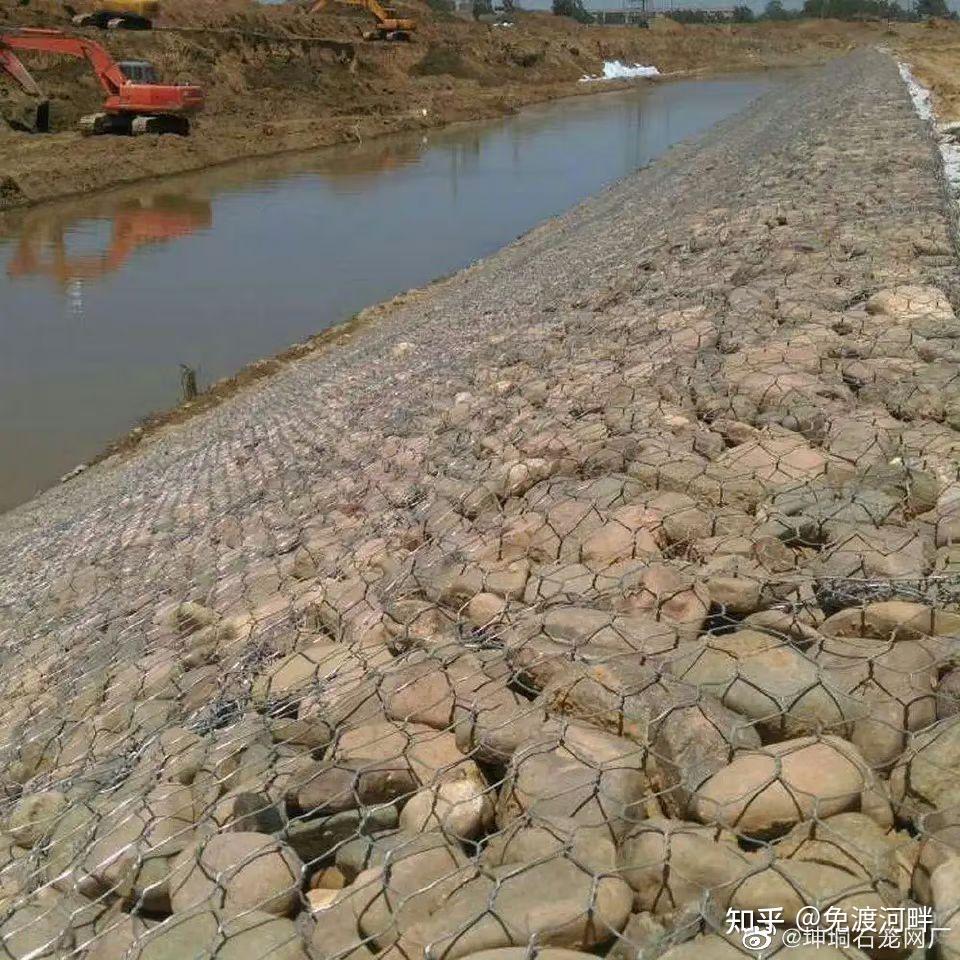 老家这种河岸怎么样固土护坡? - 知乎