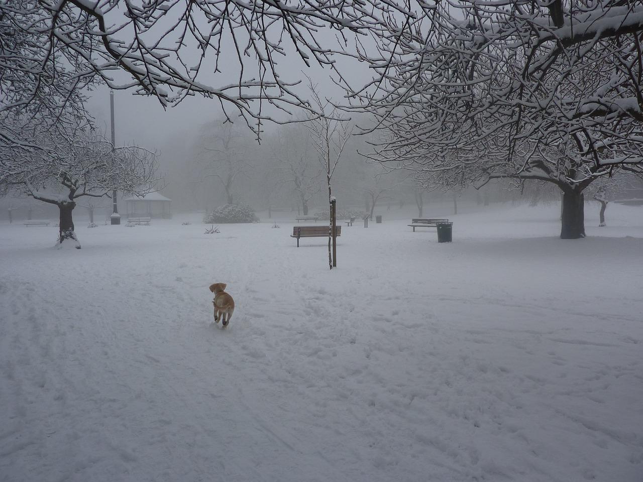 智能家居如何省电