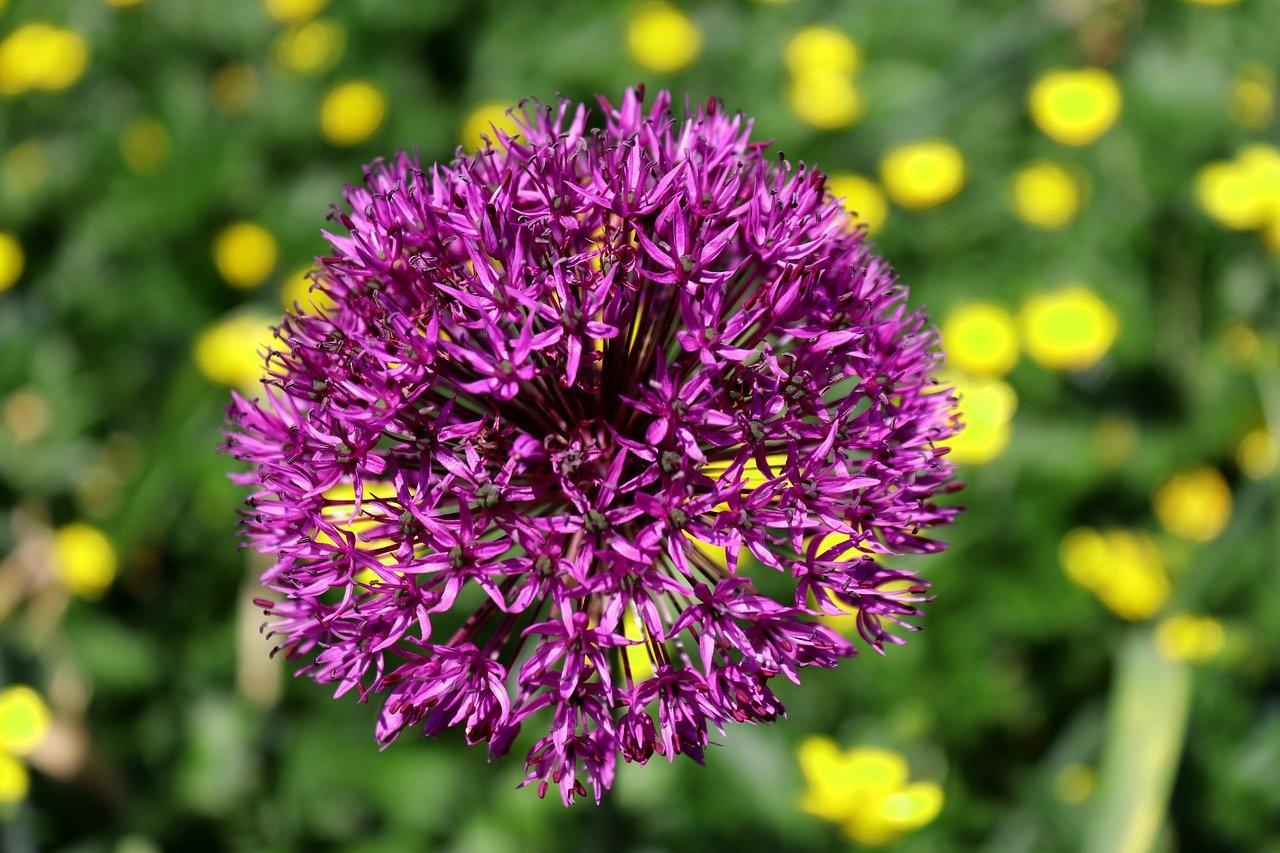 3. 房价走势预测