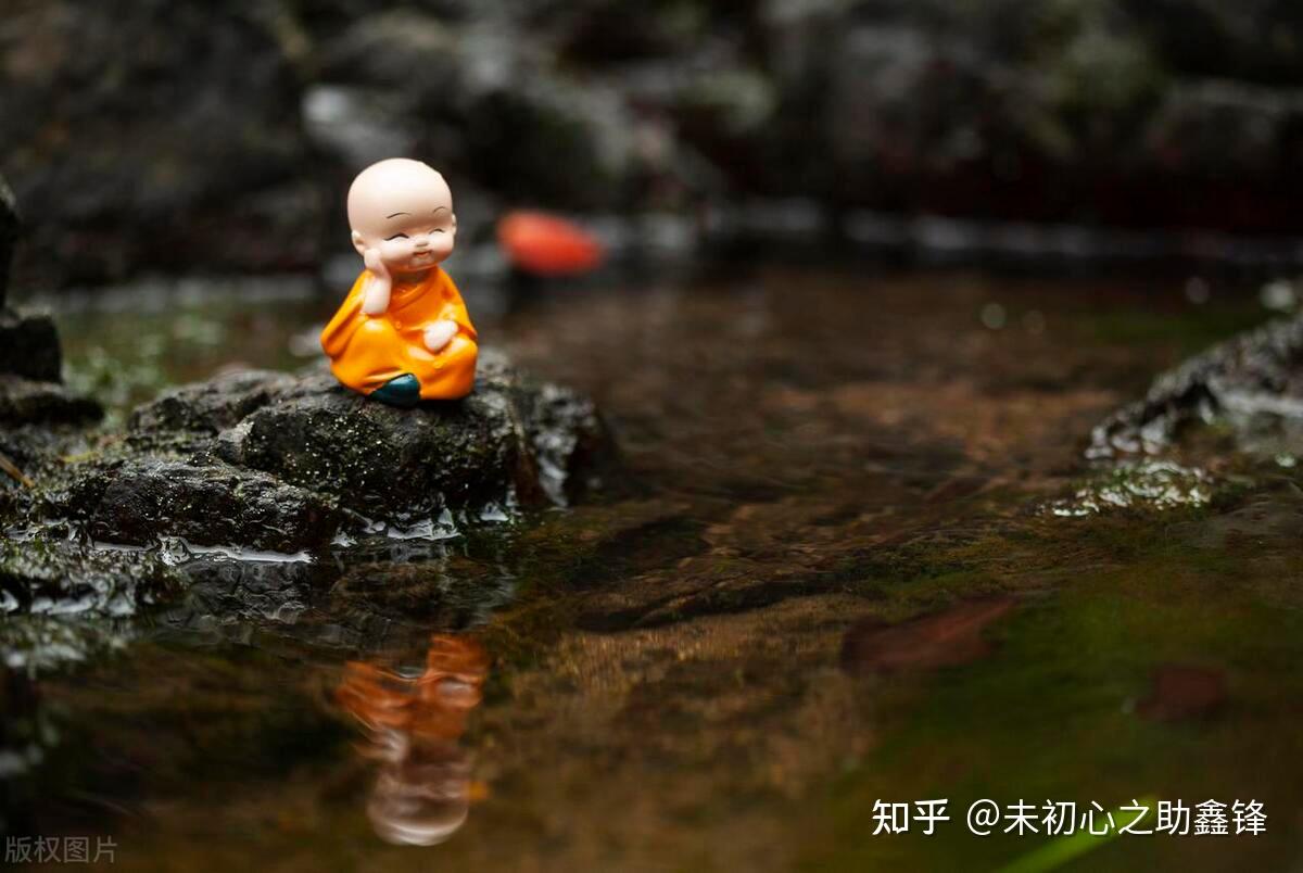 随和是素质,低调是修养,良心是底线 - 知乎