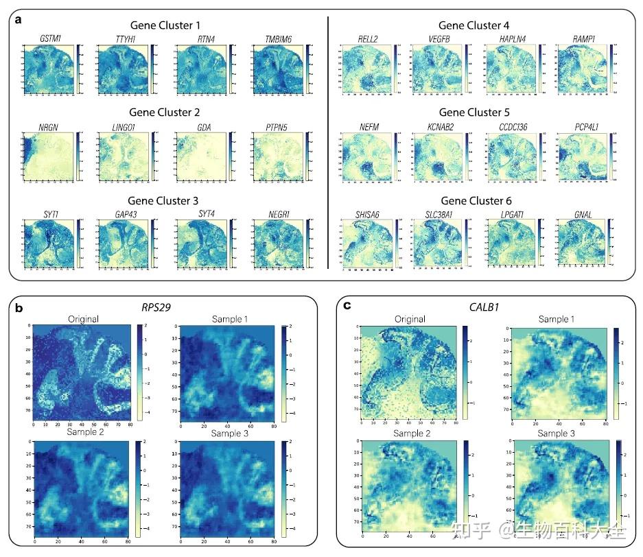基于空间转录组学数据并通过CeLEry恢复scRNA-seq数据中的细胞位置 - 知乎