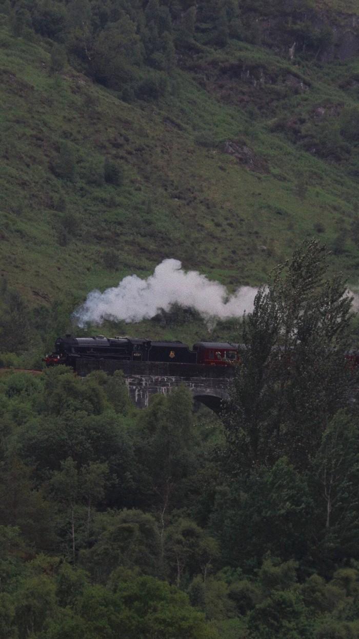 有哪些极富美感的绿色系壁纸?(绿色壁纸唯美小清新)