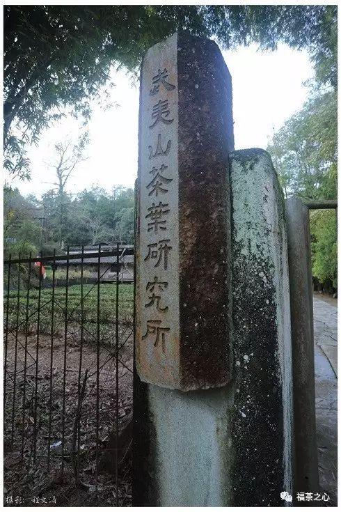 中国第一个茶叶科学研究所——武夷山茶科所 - 知乎