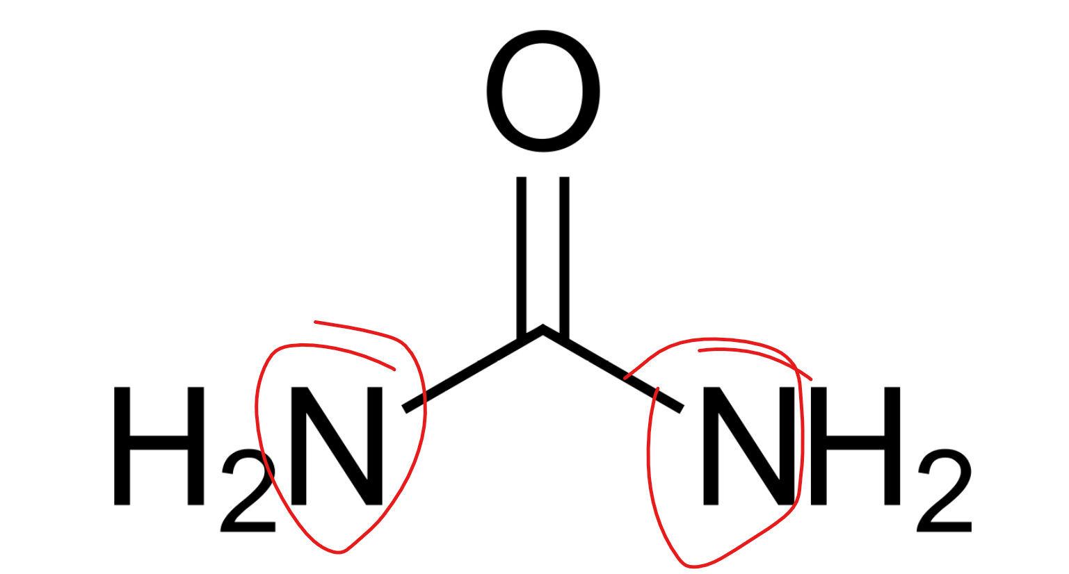 尿素如何提供氮素?原理是什么? - 知乎