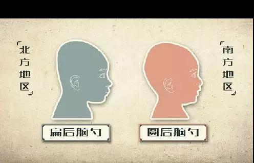 圆头扁头?头型影响脑发育?