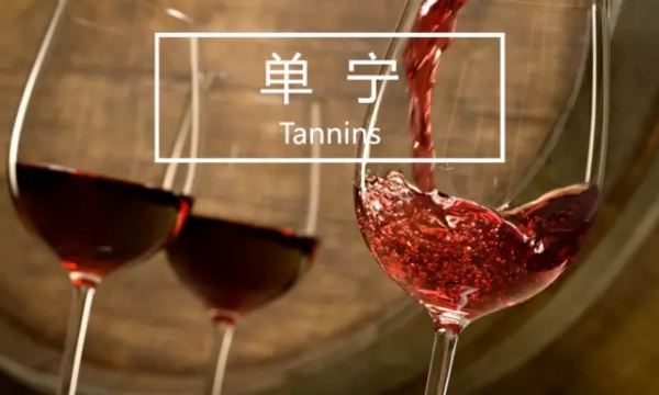 葡萄酒中的单宁到底是什么? - 知乎