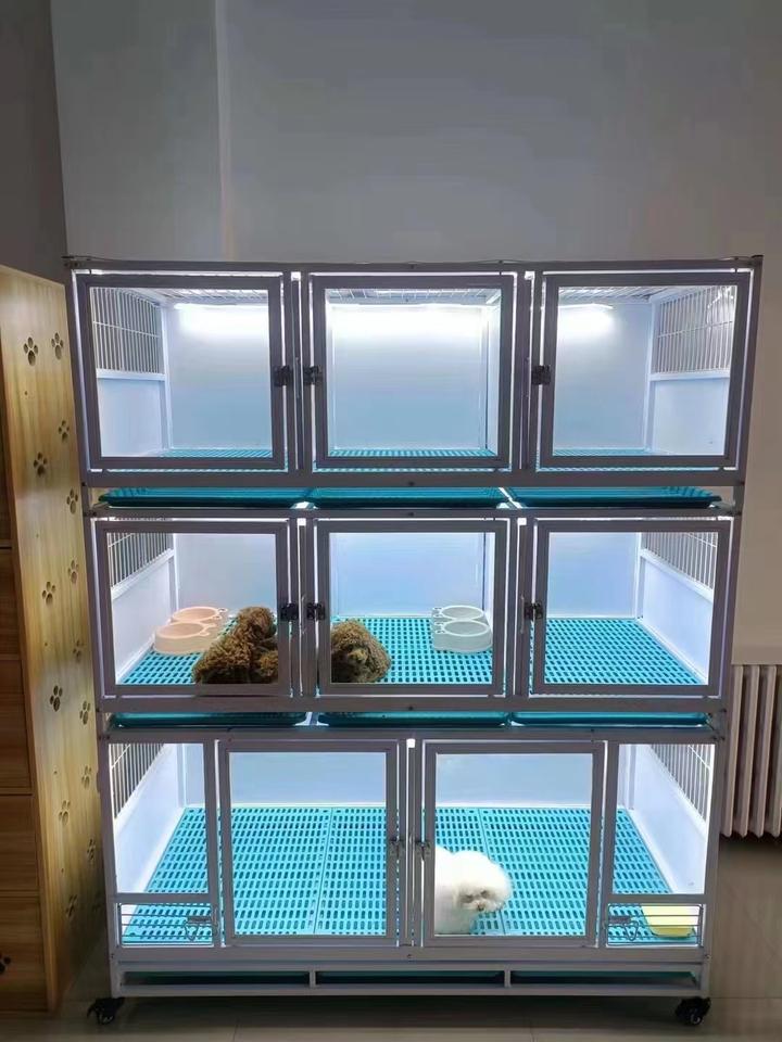 常见的宠物笼有哪些, 用宠物笼有什么好处 - 知乎