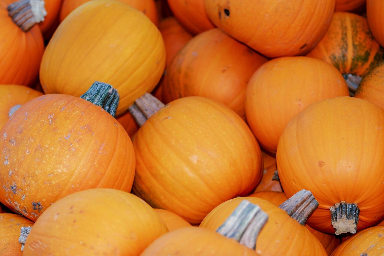 佛手瓜什么时候结果