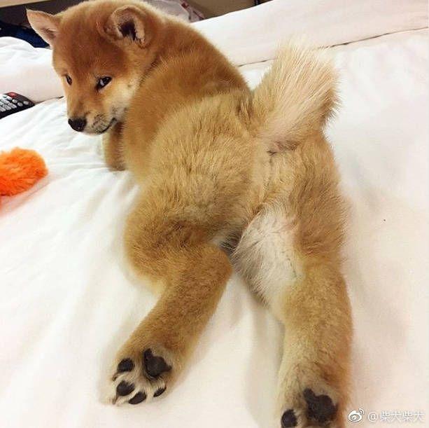 有什么适合做头像的小骚图