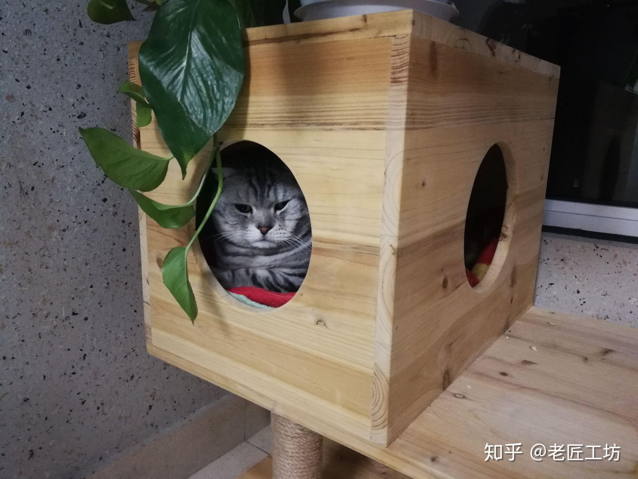 如何选购合适的、或者猫咪喜欢的猫窝? - 知乎