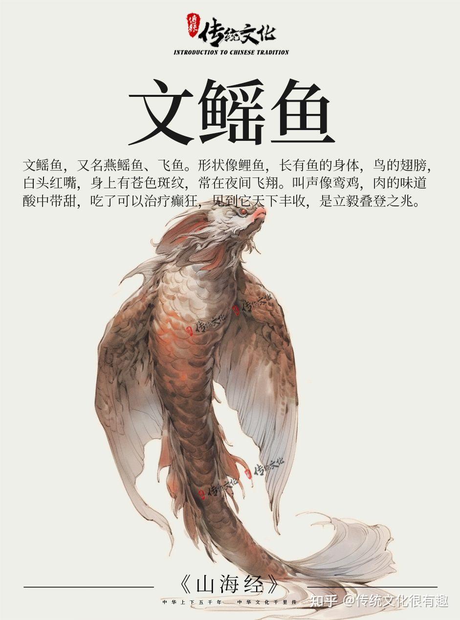 《山海经》中国神话传说上古神兽--文鳐鱼 - 知乎