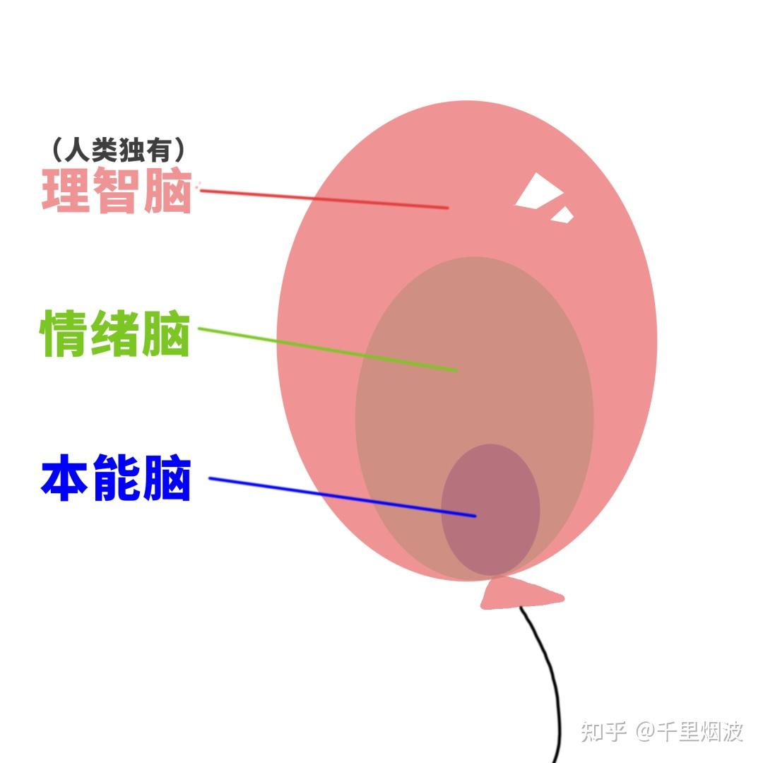 人产生情绪的机制是什么