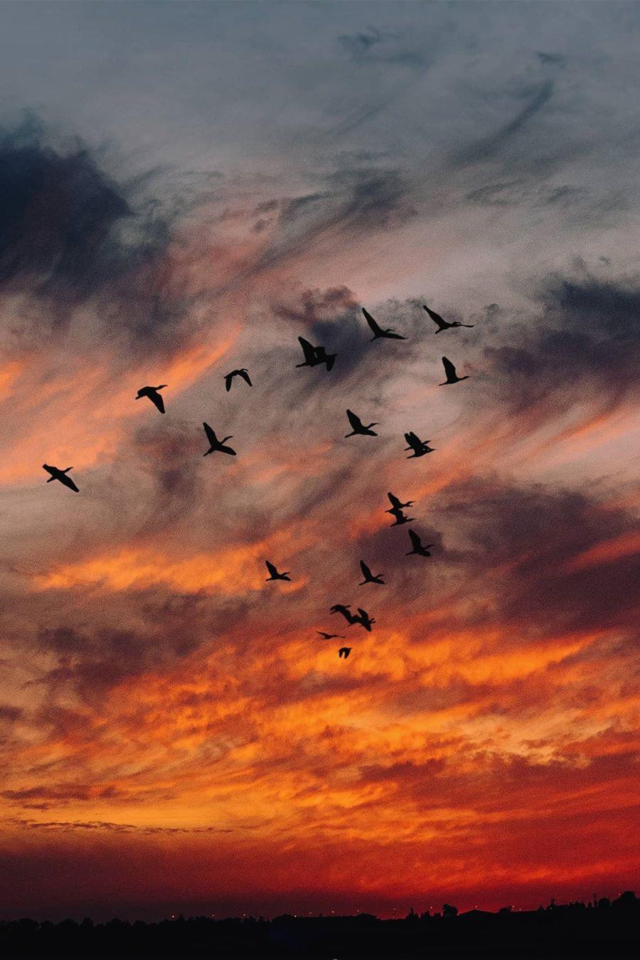 你见过哪些可以笑死人的神图? - 知乎