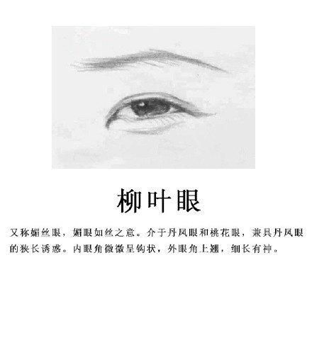 这个算什么眼型鸭