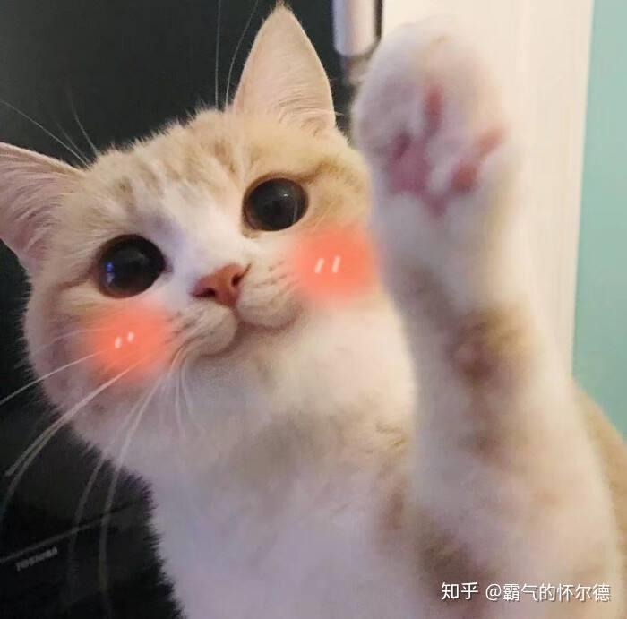 为什么女孩子那么可爱啊? - 知乎