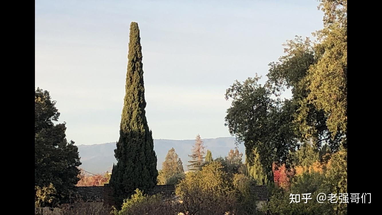 美国硅谷冬令时早7:00 - 知乎