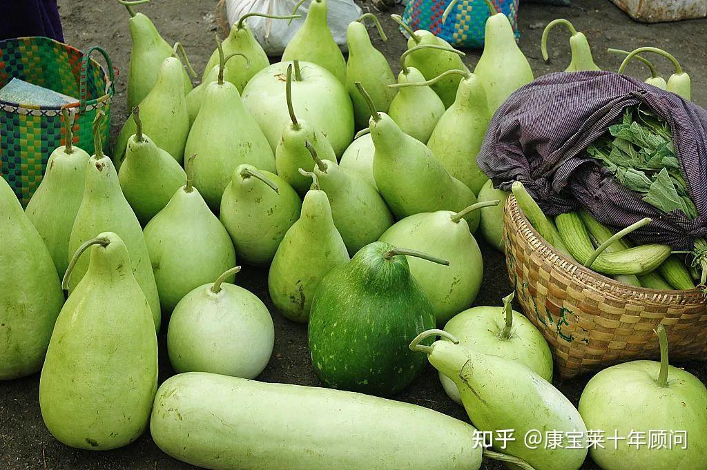 哪些苦味的食物对身体有益？ - 知乎