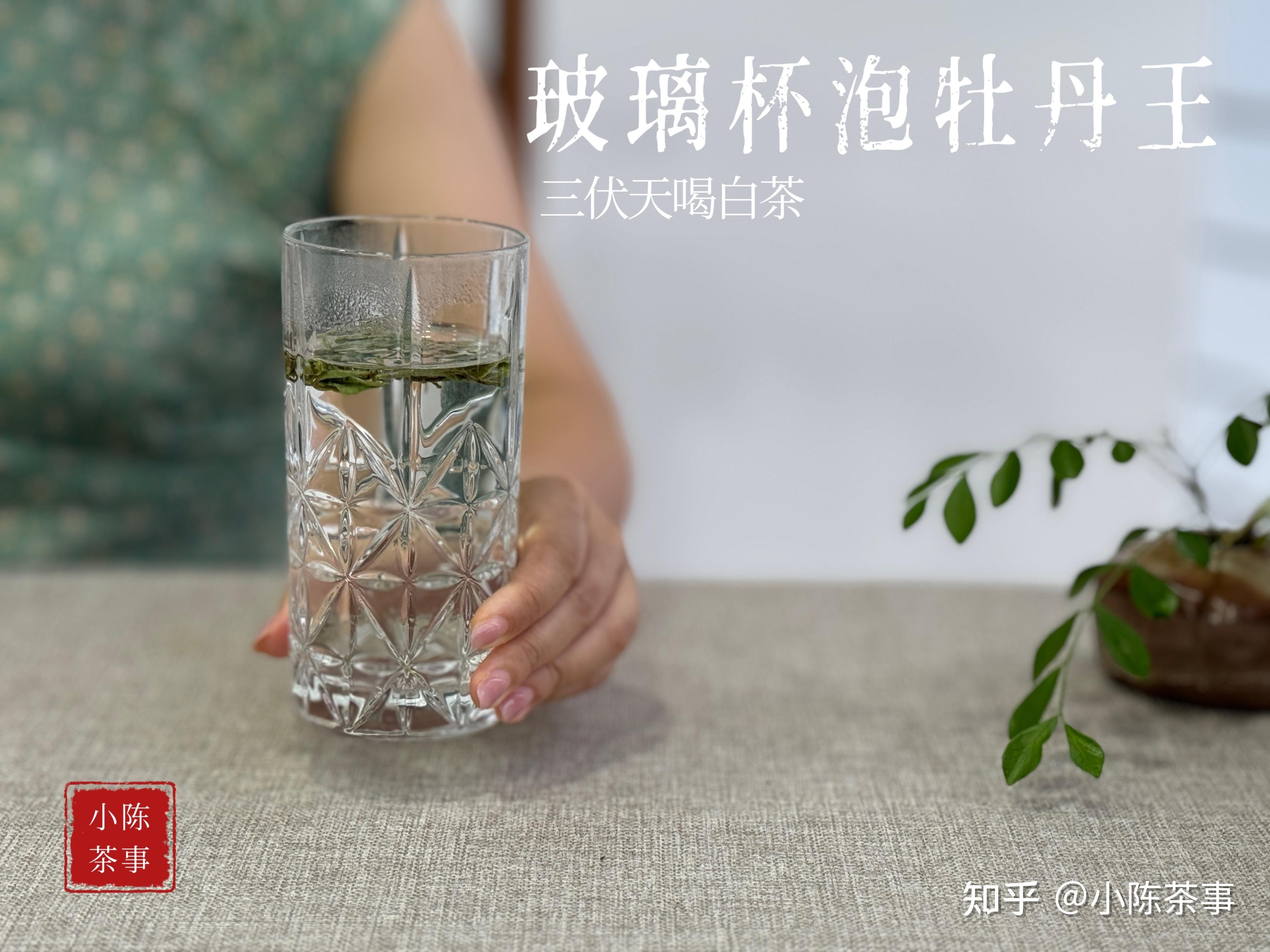 简单4步，教你用万能玻璃杯泡茶技巧，1分钟泡出好喝的茶汤 - 知乎
