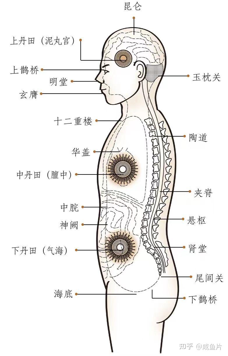 道教内丹术和周天功 - 知乎